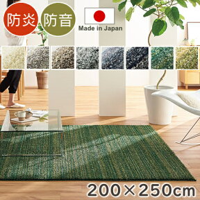 【ポイント10倍★200円OFFクーポン配布中】 ラグ 厚手 ラグマット カーペット おしゃれ リュストル 200×250cm 長方形 高級 ナイロン シャギーラグ S01 春夏秋冬用