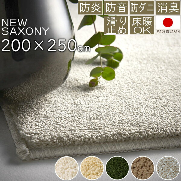snx-img5.jpg snx-img5.jpg