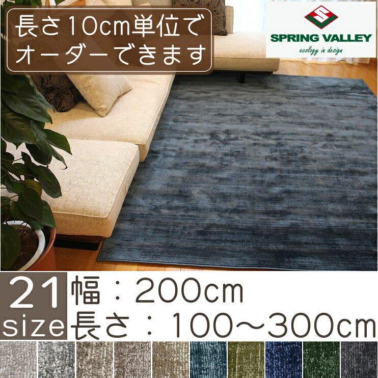 ラグ おしゃれ ラグマット 高級 カーペット ピサ PIsa 幅200cm 長さ100cm〜300cm 10cm単位でオーダー SPRING VALLEY スプリングヴァレー ヴィンテージ 防炎 オールシーズン 床暖房対応 S02 春夏秋冬用 [2]