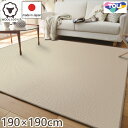 y400~OFFN[|zzz  E[ O TOR3841-Q 190~190cm { D O O}bg E[100 Vv h h_j k I[V[YΉ zbgJ[ybg g[Ή  R01 tďH~p