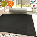 y400~OFFN[|zzz  O TOR3844-L 190~240cm { D O O}bg Vv h_j k I[V[YΉ zbgJ[ybg g[Ή  R01 tďH~p