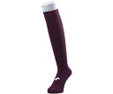 エスエスケイ(SSK) BSC1500 22 カラーソックス(25-28cm) 17SS