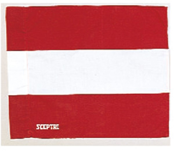 <限定クーポン発行中 11/27 01:59まで ブラックフライデー> セプター(SCEPTRE) SP81 1 ラグビー フラッグ 16SS