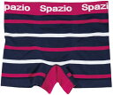 SPAZIO(スパッツィオ) AC0081 21 サッカー フットサル アンダーウエア ボーダースポーツパンツ 19SS
