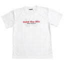 ワールドペガサス(WORLD PEGASUS) WAPTSLFF 01 野球 ライトフォース オーロラプリント S/S Tシャツ 22SS