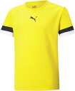 PUMA(プーマ) 705140 07 サッカー ジュニア TEAMRISE ゲームシャツ JR 20Q1(4)