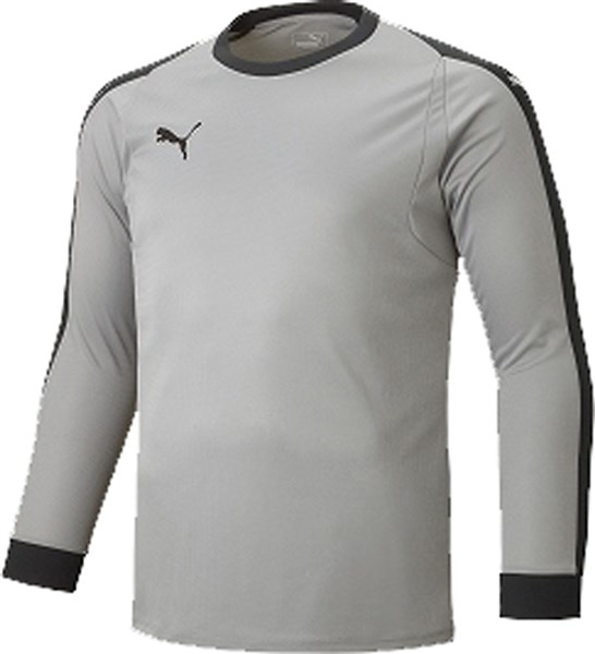 Вратарские перчатки PUMA LIGA GK с накладкой, 20Q1, артикул 729965 05