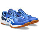 asics（アシックス）　1071A077 402　ハンドボール　シューズ　インドア用　GEL-TASK ゲル タスク 3 23AW