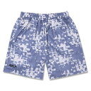 <ネコポス発送 送料無料> ARCH(アーチ) B125111 PPL バスケットボール プラクティスパンツ grid faded shorts 25SS