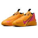 SALE ナイキ(NIKE) HF1804 800 バスケットボール シューズ G.T. ジャンプ アカデミー EP 25SU