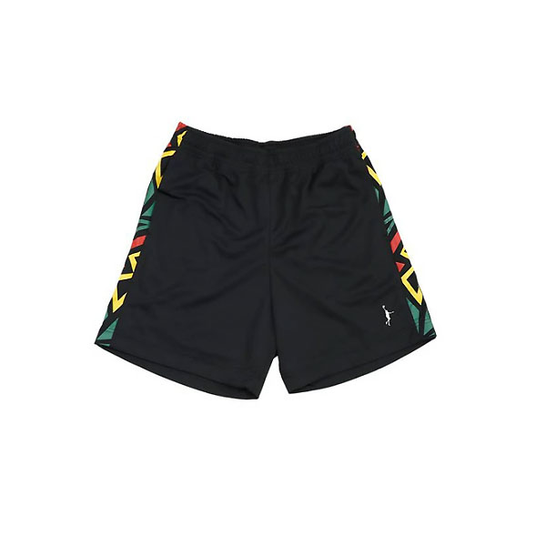 ＜ネコポス発送 送料無料＞ インザペイント（IN THE PAINT）　ITP25306 BLKRED　バスケットボール　プ..