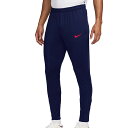 <ネコポス発送 送料無料> ナイキ(NIKE) FN2406 494 サッカー トレーニングウェア Dri-FIT ストライク サッカーパンツ 25FA