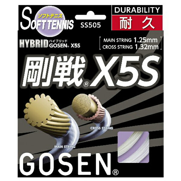 GOSENʥˡϥ֥åɹX55SS505NAƥ˥åȡ13SS