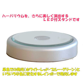 美しく輝かせるLEDスタンド付「ハーバリウム【かすみ草/ブルー】」