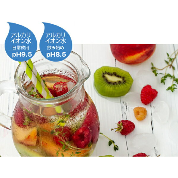 《送料区分2》パナソニック アルカリイオン整水器 TK-AS32-W [ホワイト]
