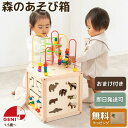森のあそび箱 木 おもちゃ 型はめ パズル 知育玩具 男の子 女の子 誕生日 プレゼント 1歳 2歳 3歳 洗える エドインター