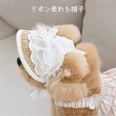 犬用麦わら帽子 犬用サンハット 夏用UV保護バイザー 小型・中型犬用 調節可能なあごストラップ付き ロングストラップ付き 犬用麦わらサンハット