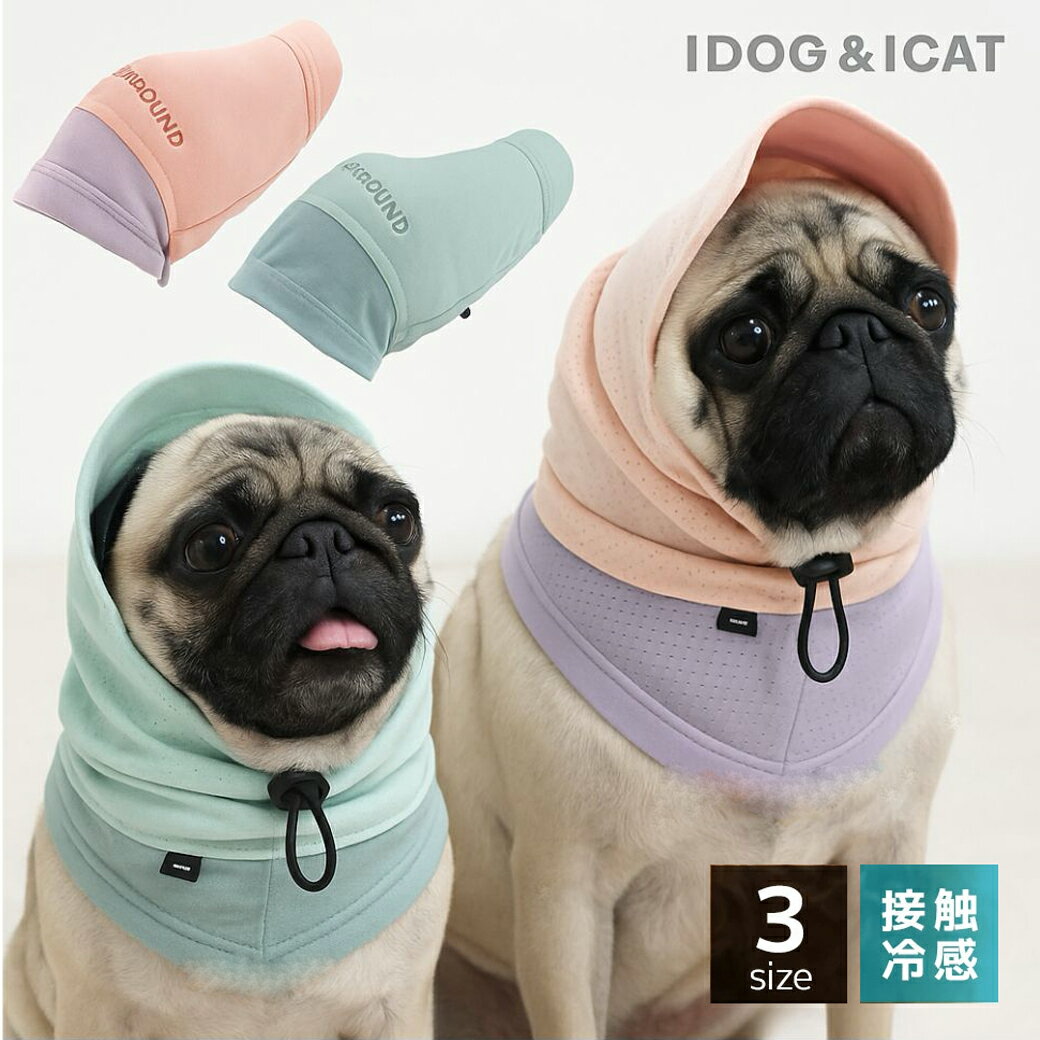 idog iDog ���褱��å��她�̡��� �ܿ��䴶 �����ɥå�