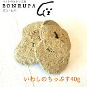 いわしのちっぷす40g ボン・ルパ 京 おやつ 鮪 無添加 国産 間食 ジャーキー ドッグフード 魚 イワシ(4)