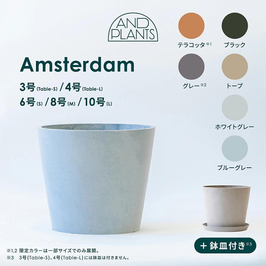楽天市場】植木鉢 プラスチック 10号の通販 楽天市場】植木鉢 プラスチック 10号の通販