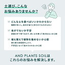 andplants:10000063のサンプル画像3