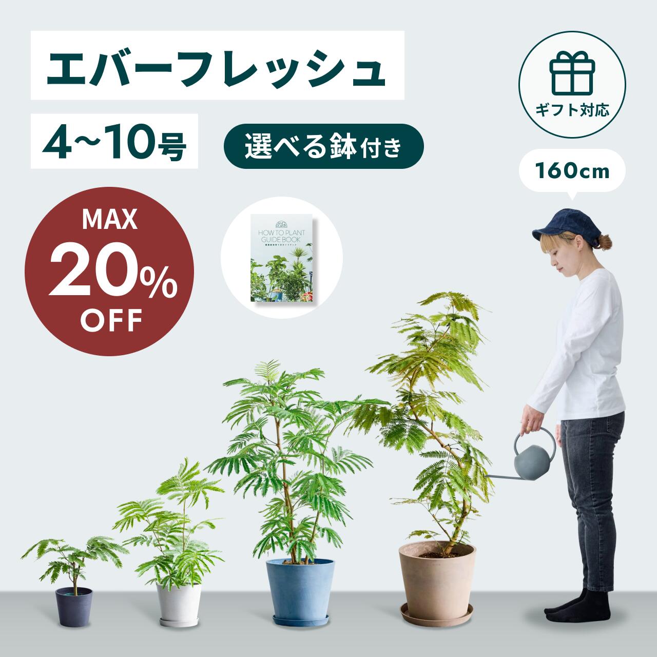 【10/2迄最大30%割】 エバーフレッシュ 観葉植物 母の日 本物 大型 小さい 軽い ミニ インテリア おしゃれ アンドプランツ エコポッツ ecopots 鉢 植木鉢 育てやすい 枯れにくい 風水 プレゼント ギフト 出産祝い 快気祝い 開業祝い メッセージカード 送料無料 縁起