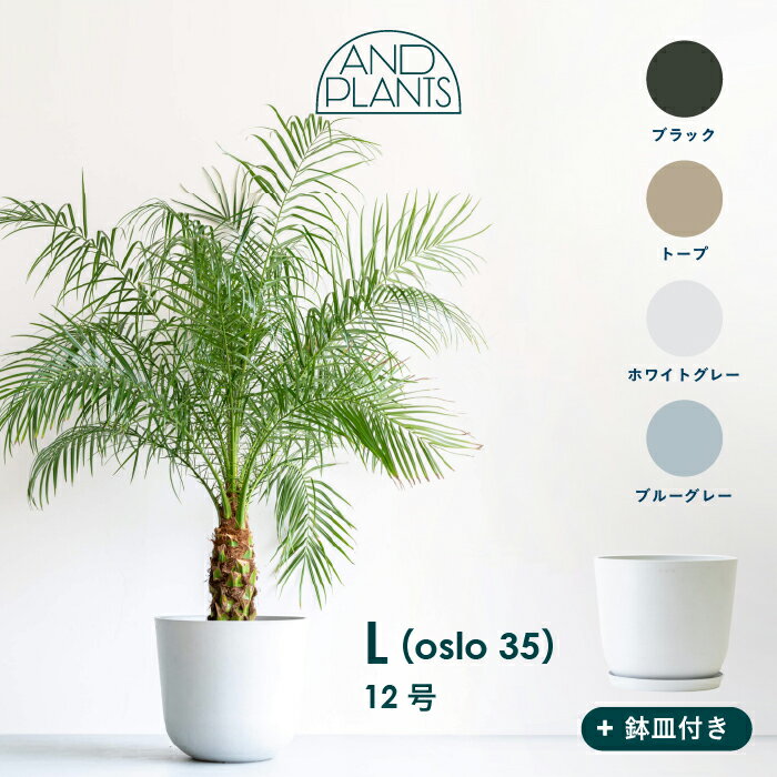 Ecopots Oslo L 植木鉢 11号 12号 大型 プラスチック+天然石 プランター 軽い おしゃれなインテリアになる鉢 鉢カバー