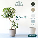 Ecopots Oslo M 植木鉢 8号 大型 プラスチック+天然石 プランター 軽い おしゃれなインテリアになる鉢 鉢カバー