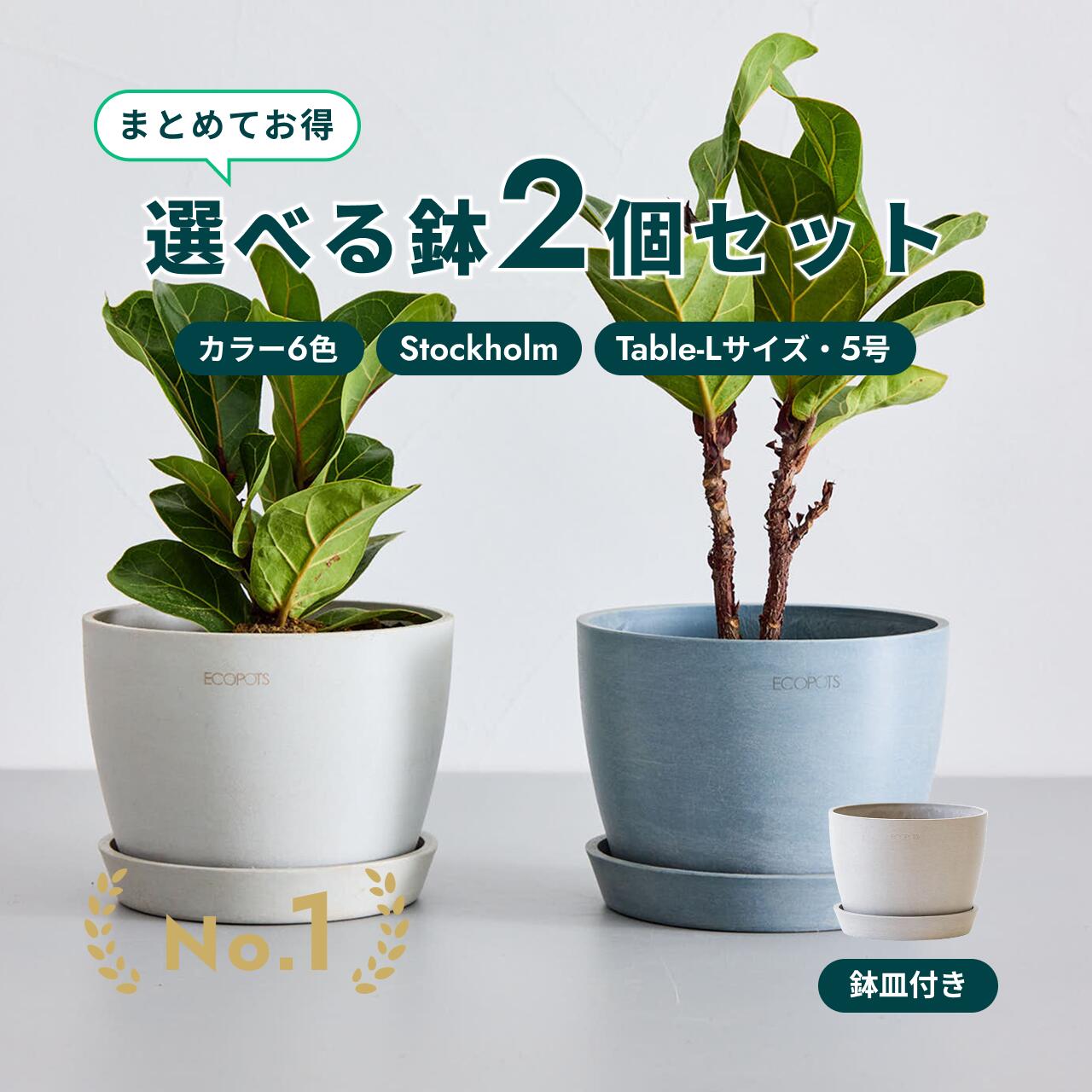 楽天市場】天然石（植木鉢・プランター｜ガーデニング・農業）：花