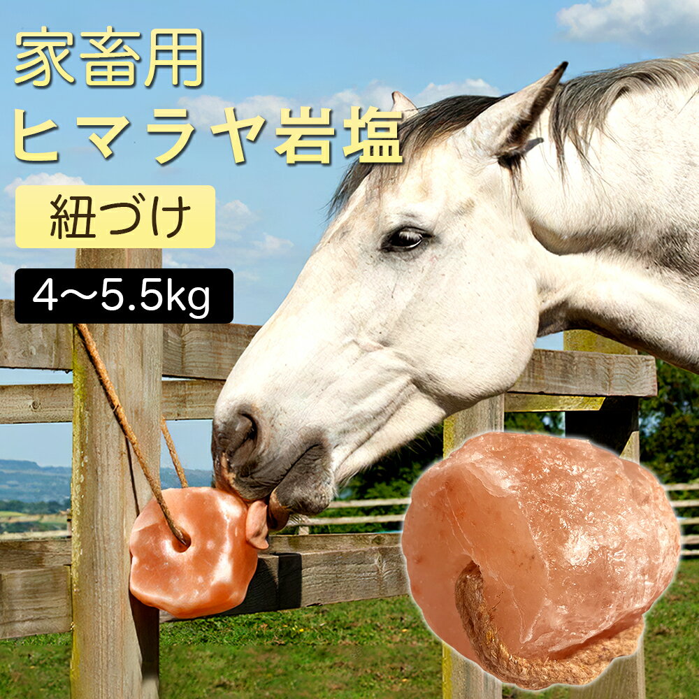アニマル用岩塩 アニマルソルト 家畜用ソルト 動物岩塩 ヒマラヤ岩塩 約2〜3.5kg 4~5.5kg 家畜用岩塩 ロープ付き 馬 牛 羊 ヤギ 豚 動物 家畜全般に 熱中症 塩 塩分 ミネラル 塩分補給 紐付け