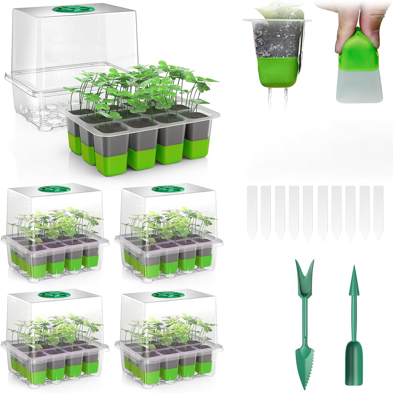 ���ĥݥå� 5�ĥ��å� ����Ȣ 12�� ��ҥȥ쥤 �����ݥå� ���եȥ��ꥳ��١��� ����ΰܿ�����ñ ȯ����� ���å� ��ޤ��ϥ��� �̵��� ������� ¿����...