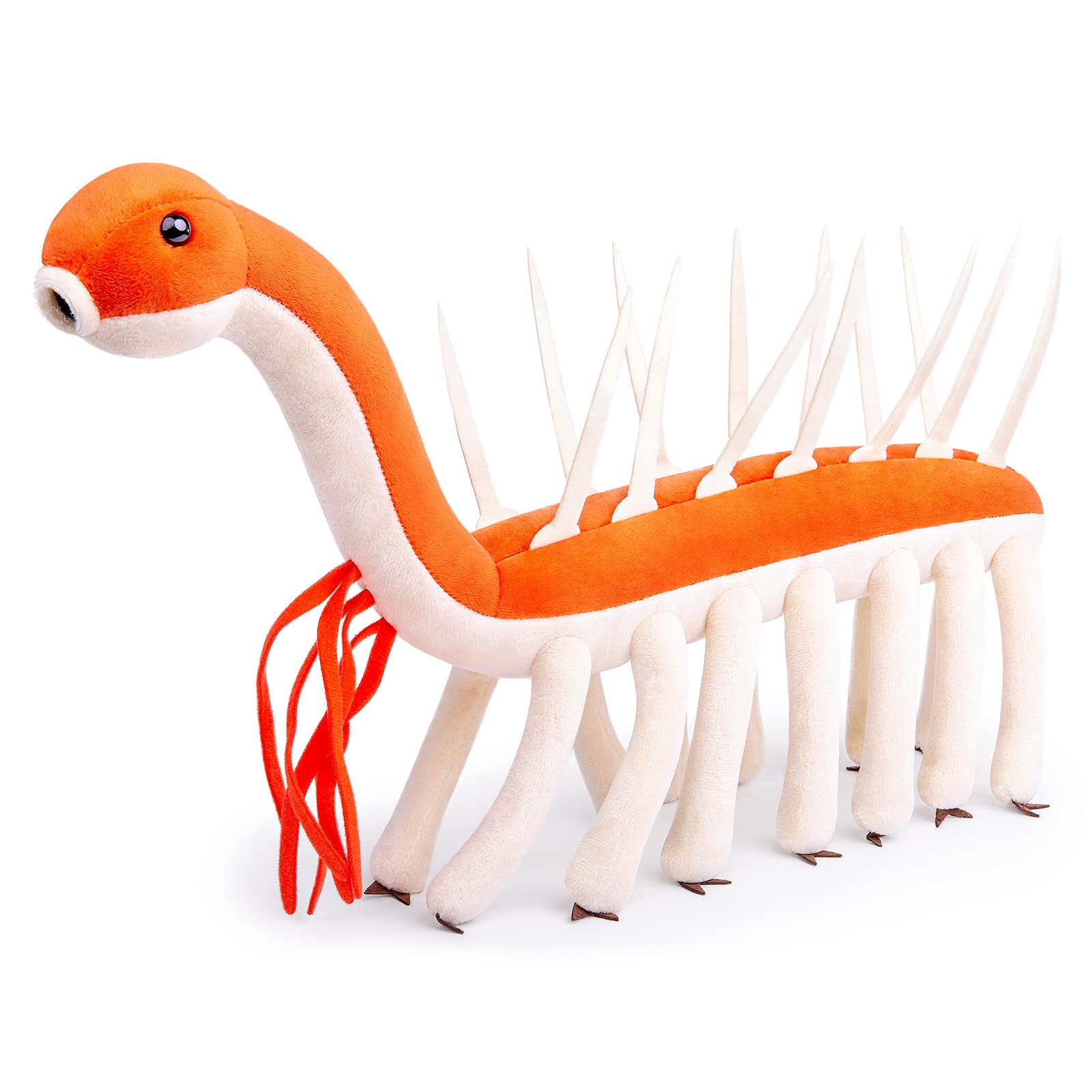 Rakuten - リアルなカンブリア紀の古代生物奇妙なぬいぐるみカンブリア海の生物奇妙なぬいぐるみ動物モデル面白いぬいぐるみギフト子供のため 44cm…