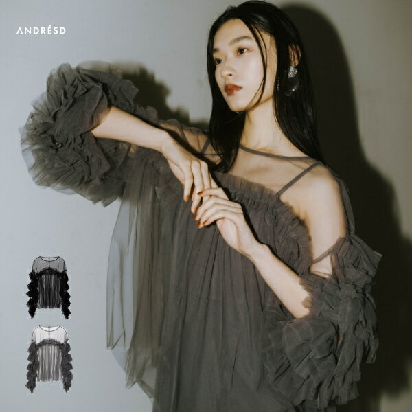 【公式】 ANDRESD アンドレスド 【 decorative tulle tops 】 チュール トップス レディース ボリュームスリーブ 長袖 シアー シアートップス 透け感 レイヤード 春 春夏 ブラウス チュールブラウス