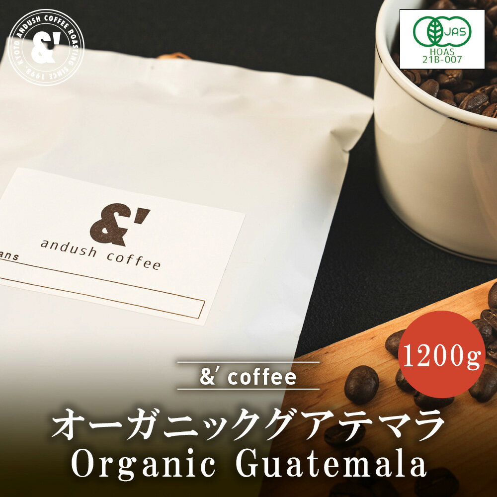 オーガニック グアテマラ 1200g 深煎り 送料込み 珈琲豆 コーヒー豆 通販 オーガニックコーヒー 京都 アンダッシュコーヒー おすすめ ランキング プレゼント ギフト