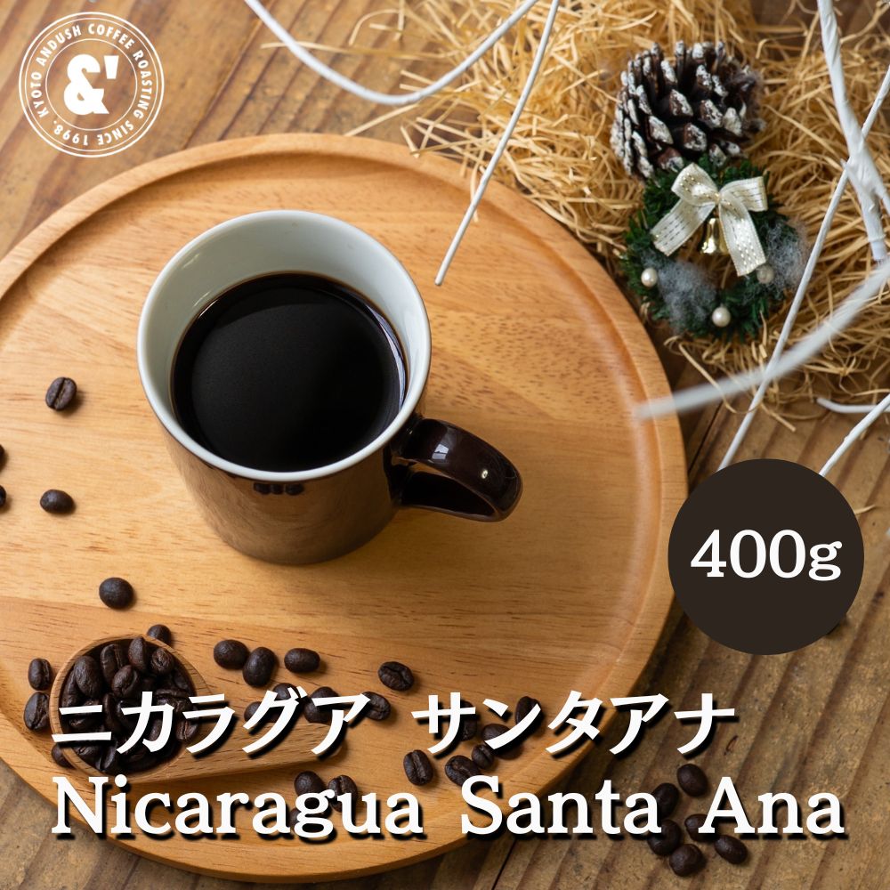 ニカラグア サンタアナ 400g シティロースト 珈琲豆 送料込み スペシャルティコーヒー コーヒー豆 通販..