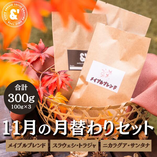 コーヒー豆 福袋 送料無料 珈琲豆 11月 月替わりセット 300g 約30杯分 焙煎後すぐ発送 コーヒー 豆