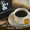 モカ マタリ バニーマタル 1200g 中煎り 珈琲豆 コーヒー豆 通販 ネット販売 珈琲 コーヒー ドリップ 自家焙煎 京都 コーヒーロースター アンダッシュコーヒー おすすめ ランキング プレゼント ギフト