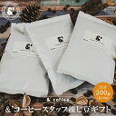 C18 コーヒー 珈琲 &'コーヒースタッフ推し豆ギフト 100g×3 ギフトシリーズ バリ クルティナ ドミニカ プリンセサプリンセサ グアテマラ アンティグア ギフト