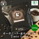 オーガニック 東ティモール 1200g 中深煎り 送料込み 珈琲豆 コーヒー豆 通販 コーヒー 京都 アンダッシュコーヒー おすすめ ランキング プレゼント ギ...