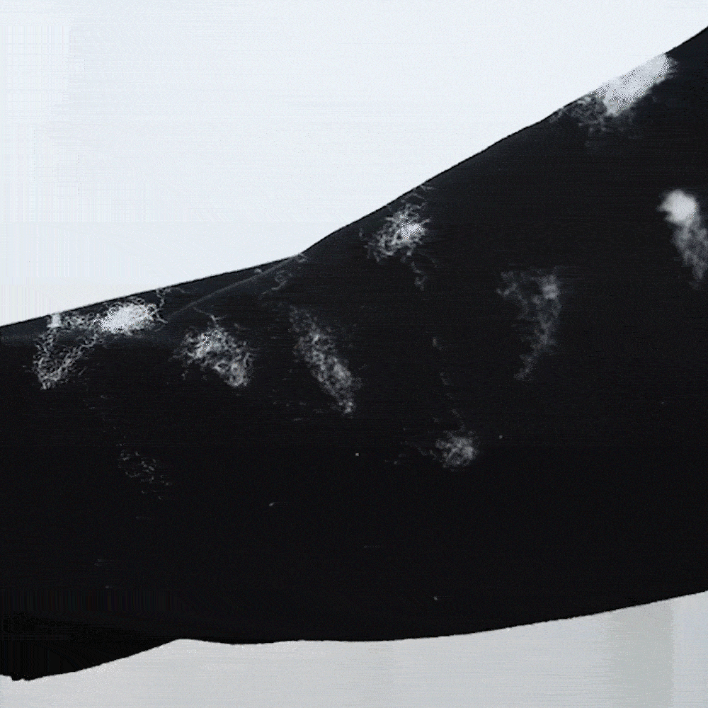 【単品2個セット】 SP-481 洋服ブラシ付きポケットコーム (株)アヌシ(代引不可)