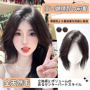 【限定50%OFFクーポン】新作 動画付き 前髪ウィッグ ヘアピース 頭頂部 ボリュームアップ 白髪 カバー ふんわり リアル 付け髪 中分け 目立たない 軽量...