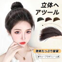 新作 つけ髪 トップ 頭頂部 補髪 ボリュームアップ ふんわり 自然 つけ髪 ヘアピース エクステ/付け毛 ナチュラル 増量/ボリュームアップ ふんわり 目立た...
