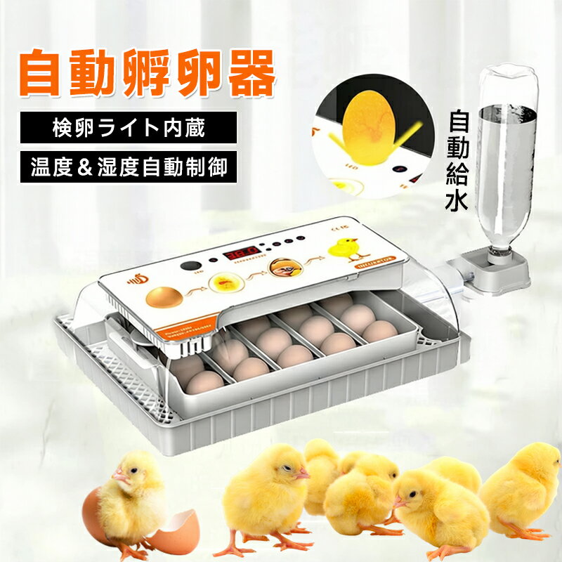 Rakuten - 自動孵卵器 インキュベーター 孵卵器 大容量 検卵ライト 入卵20個 自動温度制御 自動水補充装置 湿度保持 自動転卵 デジタル表示 警報機能 家庭用 鳥類専用孵卵器