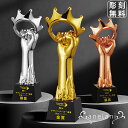 【anelani】【彫刻無料】トロフィー オーダーメイド 樹脂製トロフィー 優勝トロフィー ゴルフトロフィー クリスタルトロフィー 金属製トロフィー 優勝カップ アーストロフィー スポーツ大会 ゴルフコンペ サッカー