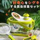 【昆虫採集セット】虫かご 虫篭 ムシカゴ 飼育容器 おしゃれ 子ども コンパクト 虫取り 昆虫採取 かわいい 飼育ケース 観察ケースカブトムシ クワガタ ちょうちょう 魚 虫取り網 セミ 子ども キッズ 夏休み 自由研究 拡大鏡 ピンセット あみ 紐付き プレゼント