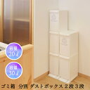 ゴミ箱 20リットル 30リットル 分別 ダストボックス 2段 3段 おしゃれ スリム 分別ゴミ箱 キッチン 日本製 洗面所 フラップ扉 フットペダル式 屋内 屋外 新生活 引越し 一人暮らし アウトドア オフィス 学校 病院 公共団体 自治会 町内会 サロン 店舗 まとめ買い 法人