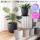 プランター 植木鉢 9号用11号用 単品 おしゃれ ナチュラル グリーンポット ウォーターヒヤシンス インテリア 鉢のまま 入れるだけ 観葉植物 2サイズ 4色 新生活 引越し 一人暮らし アウトドア オフィス 学校 病院 公共団体 自治会 町内会 サロン 店舗 まとめ買い 法人