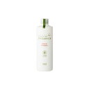 【ポイント2倍中!!】ナンバースリー ORGANICS オーガニクス ナチュラルシャンプー 250ml
