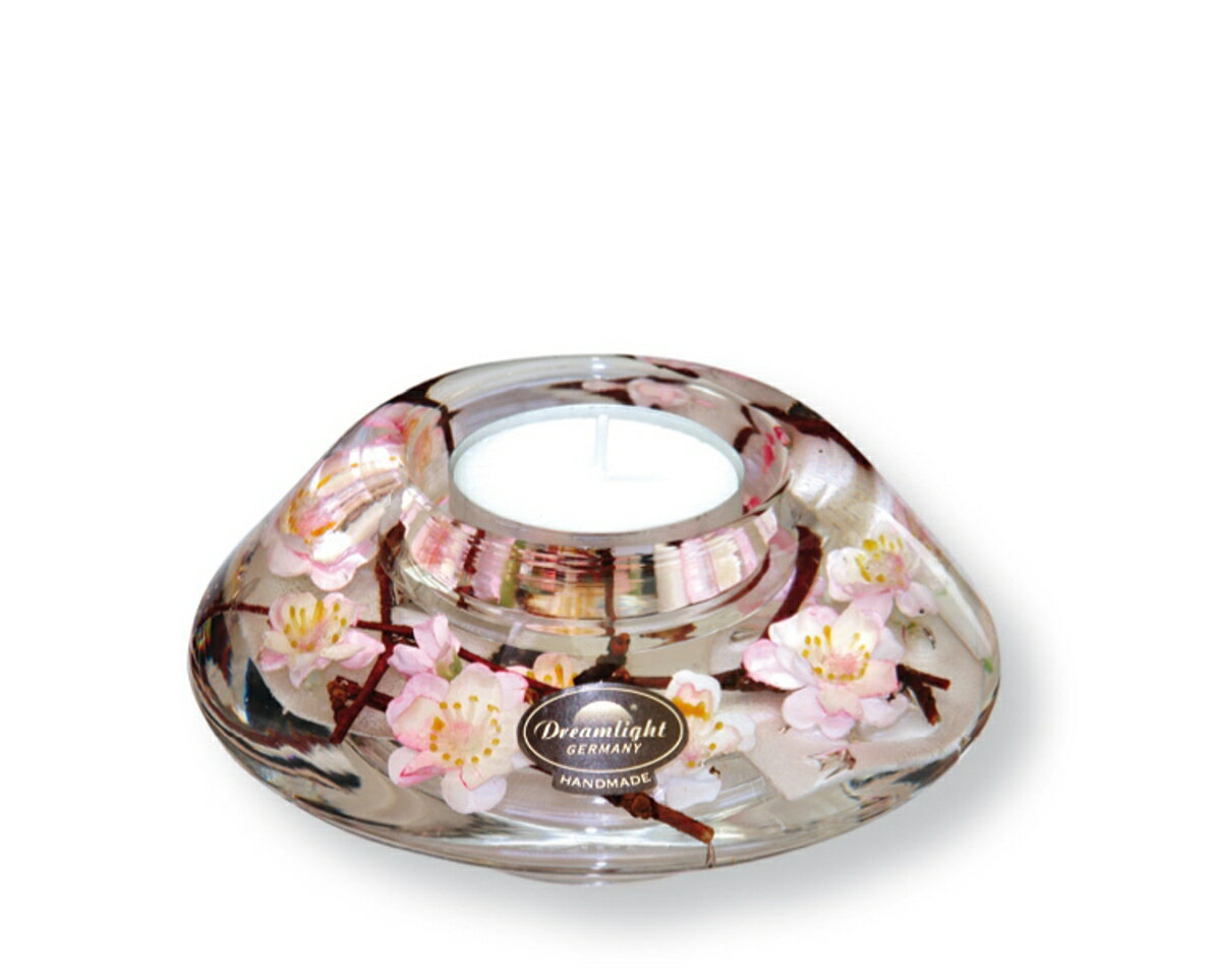 Dreamlight/ɥ꡼饤ȡۥɥۥ 㥵䥷꡼饦󷿡ˤ ֤ лˤ 뺧...