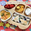 FUNFAM ねこバスプレートセット　ファンファン 竹製食器 日本製 ジブリ